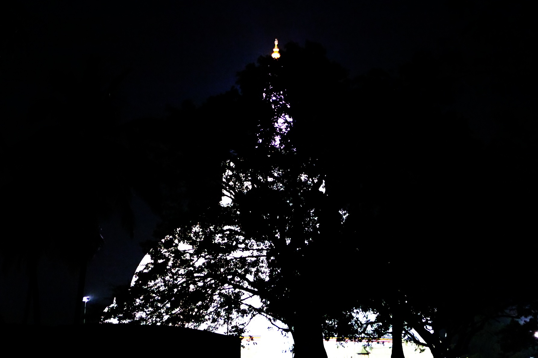 a tall tower lit up in the dark