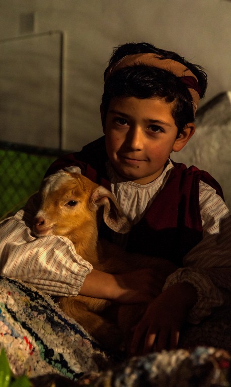 a boy with a goat is sitting on the ground