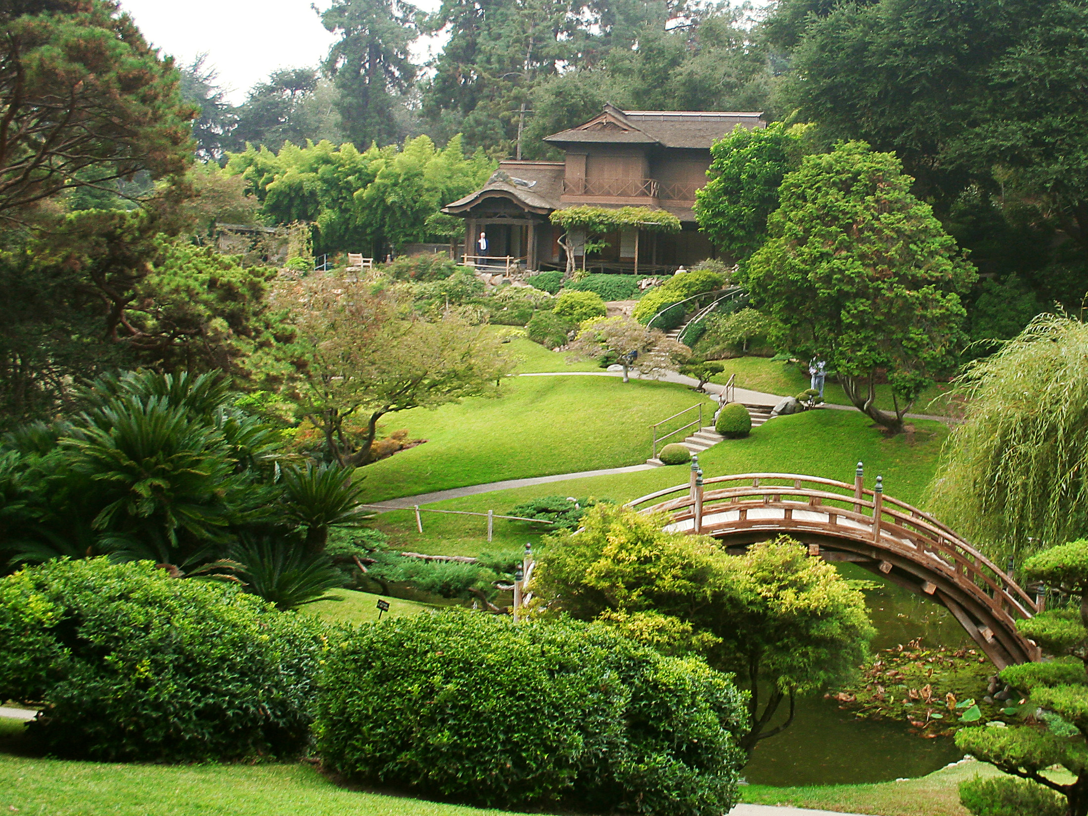 this is a view of a garden with green trees