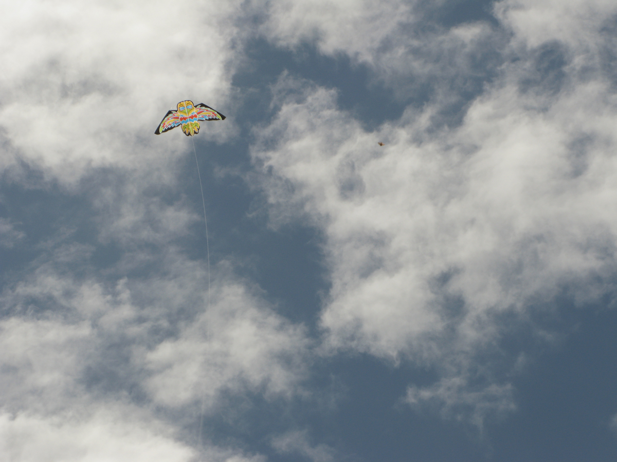 two kites flying in the sky, on a cloudy day