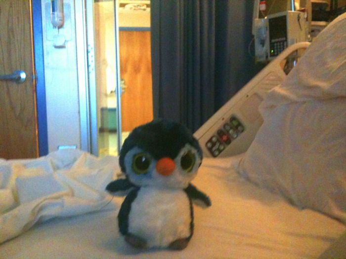 an stuffed penguin on the bed by the side of a door