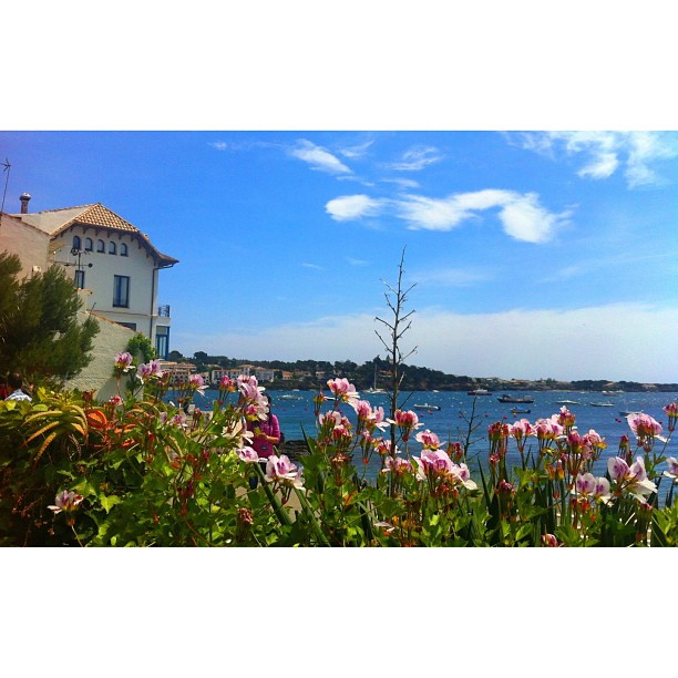 a view of a body of water surrounded by flowers