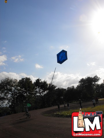 people are flying kites on a sunny day