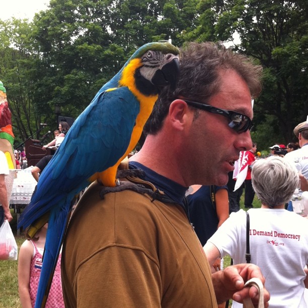 a man with a bird on his shoulders