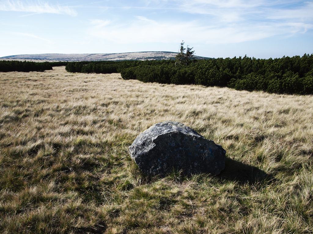 a large rock sits in a field