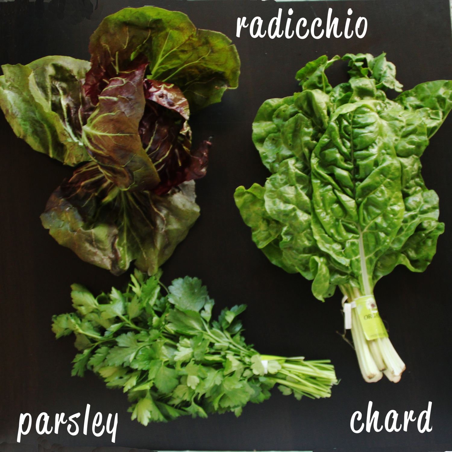 lettuce, radishes and cabbage labeled with the names of the different types of vegetables