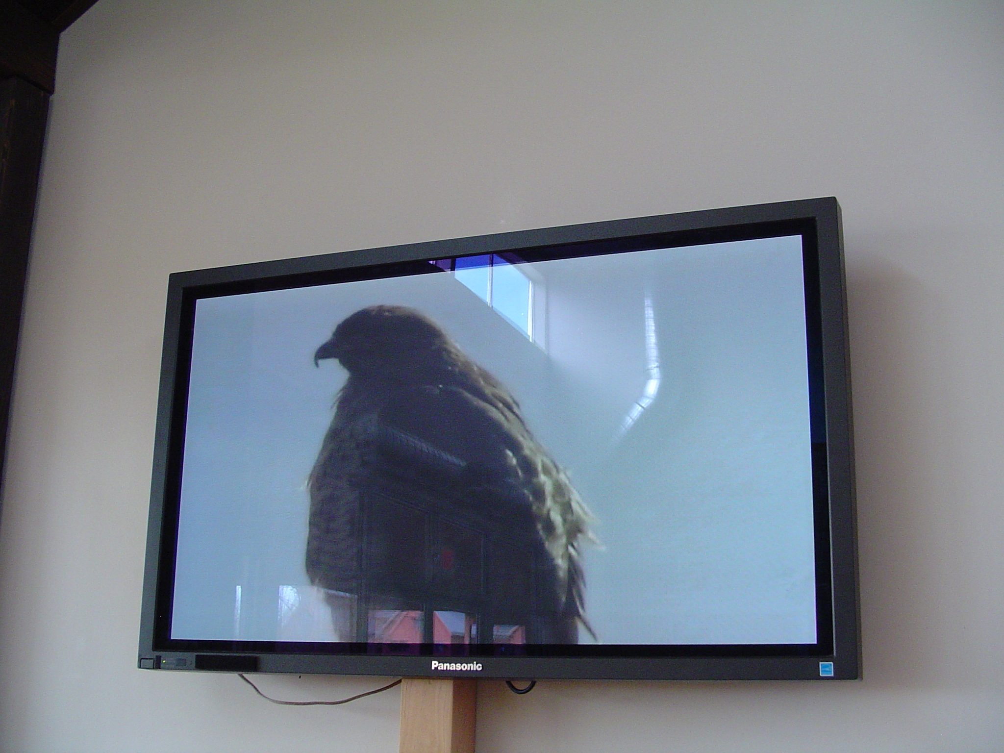 a close up of a television with a bird on it