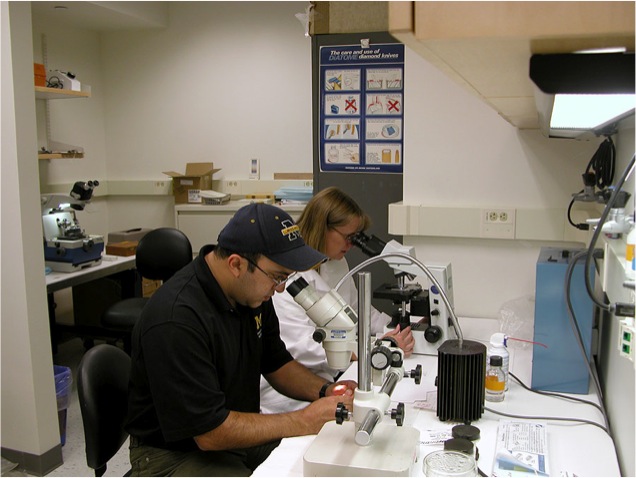 a man and woman at a desk with microscopes and light
