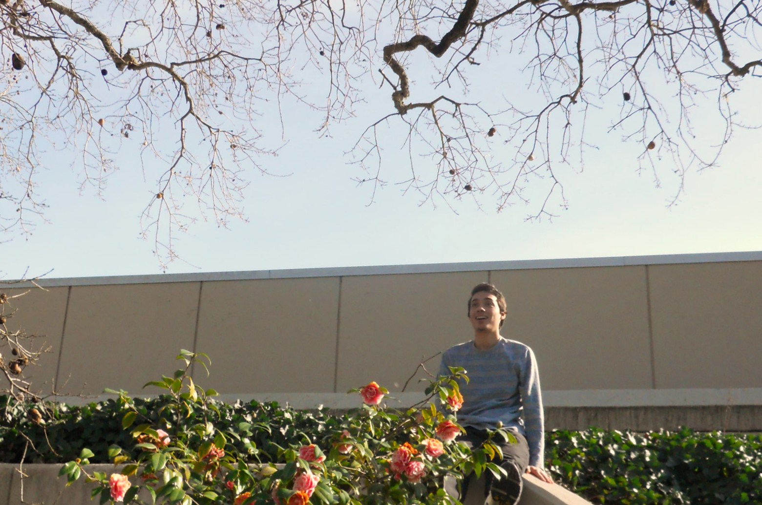 a guy in the middle of his flower bed