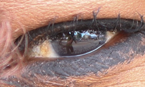 close up view of the eye of a person