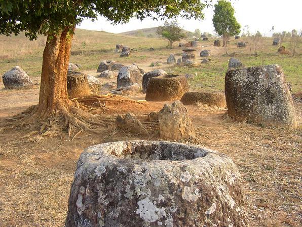 stone circle with a tree in the middle