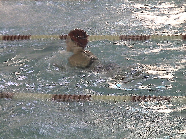 a swimmer on the back legs in the water