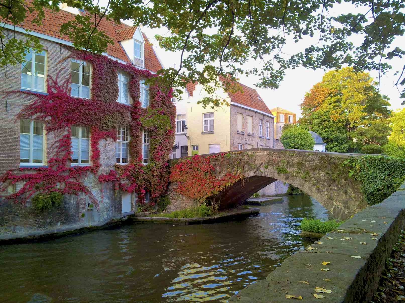 several buildings sit along a river with an arched bridge