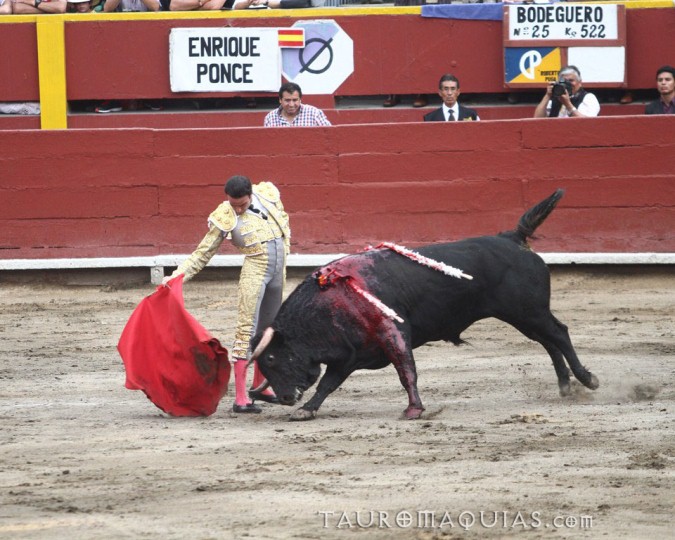 a man is trying to wrestle a bull in a bullfight