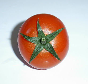 a ripe tomato with leaves is placed on the table