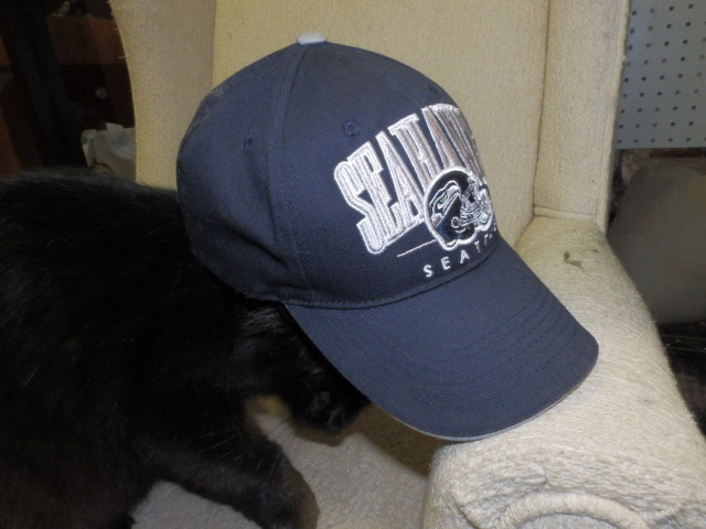 a black cat on the ground with its head near a baseball cap