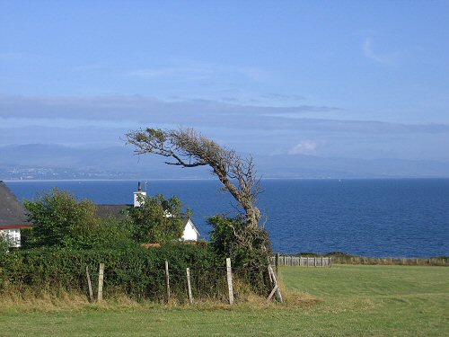 a large field with houses and a fence in front of the ocean
