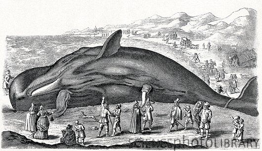 a black and white drawing of a whale with people around it