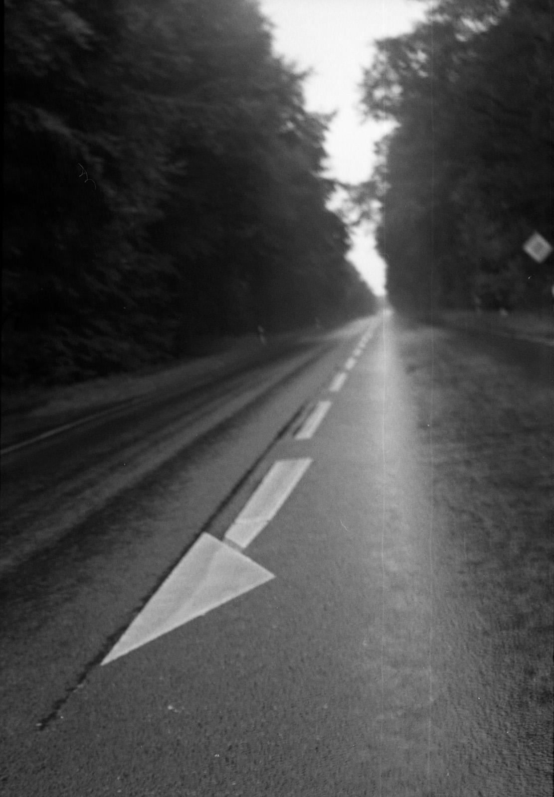 a white arrow on a road with trees behind it