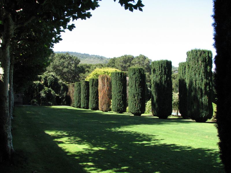 a green lawn with trees on both sides