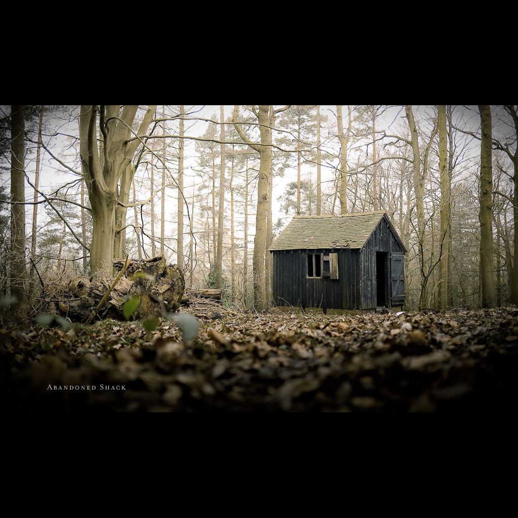 a building sitting in the middle of a forest