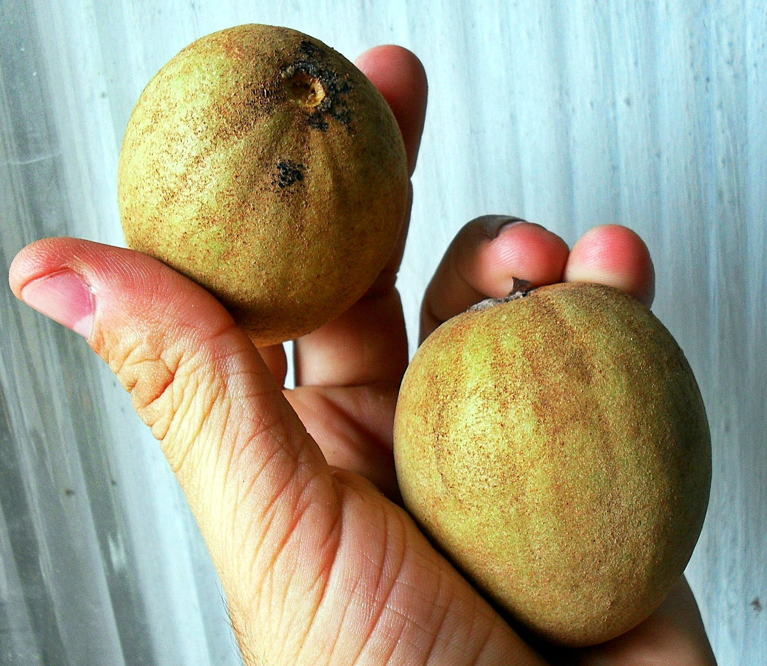 two pieces of fruit in a person's hand