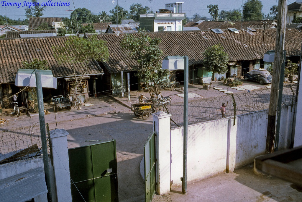 small buildings and fences are visible in the distance