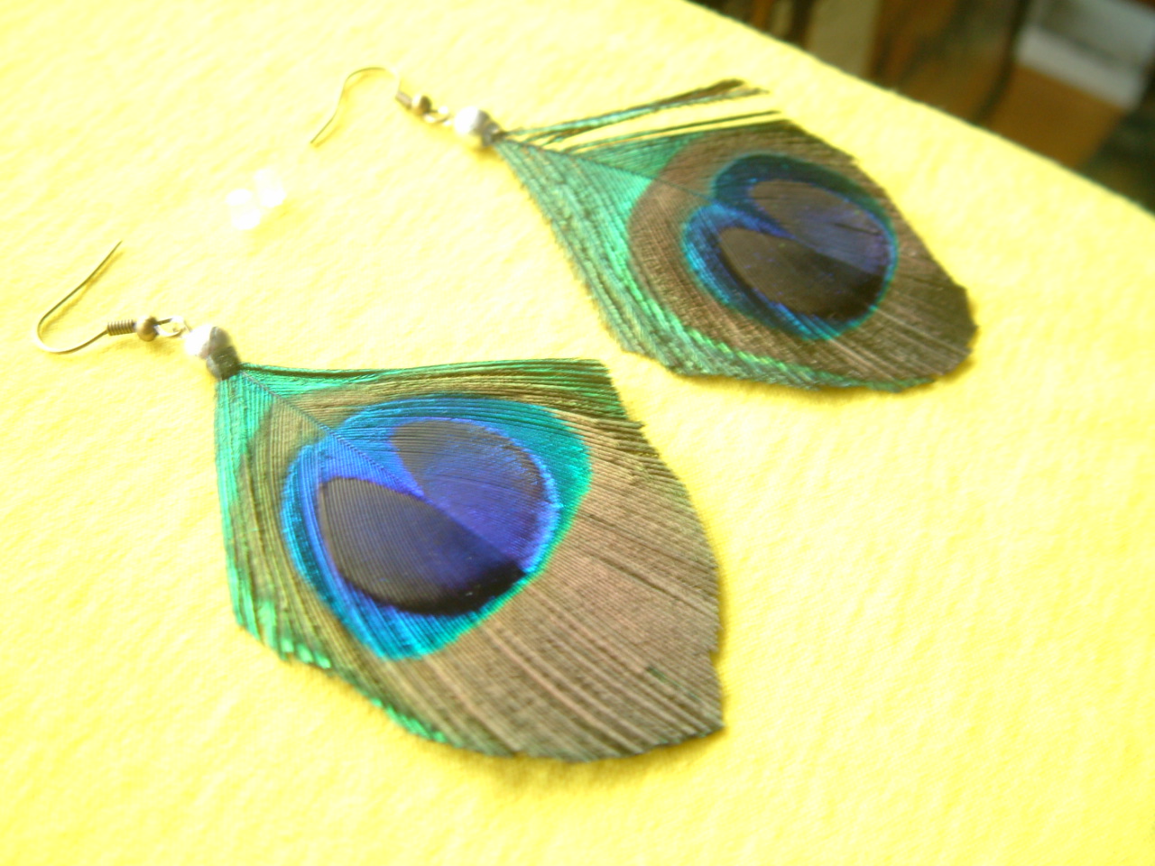 there is a pair of blue and green peacock feathers on ear hooks