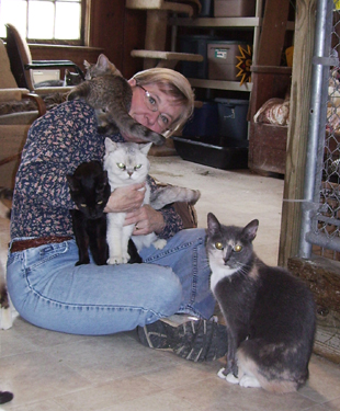 woman is sitting on the floor with several cats