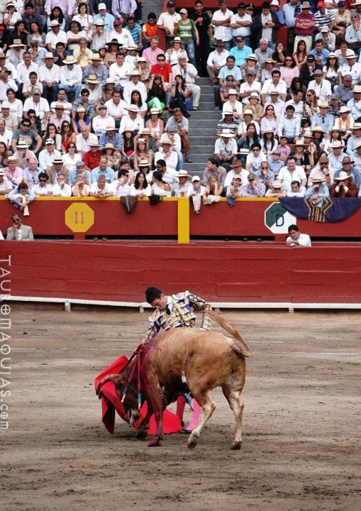 a man riding a bull in front of people