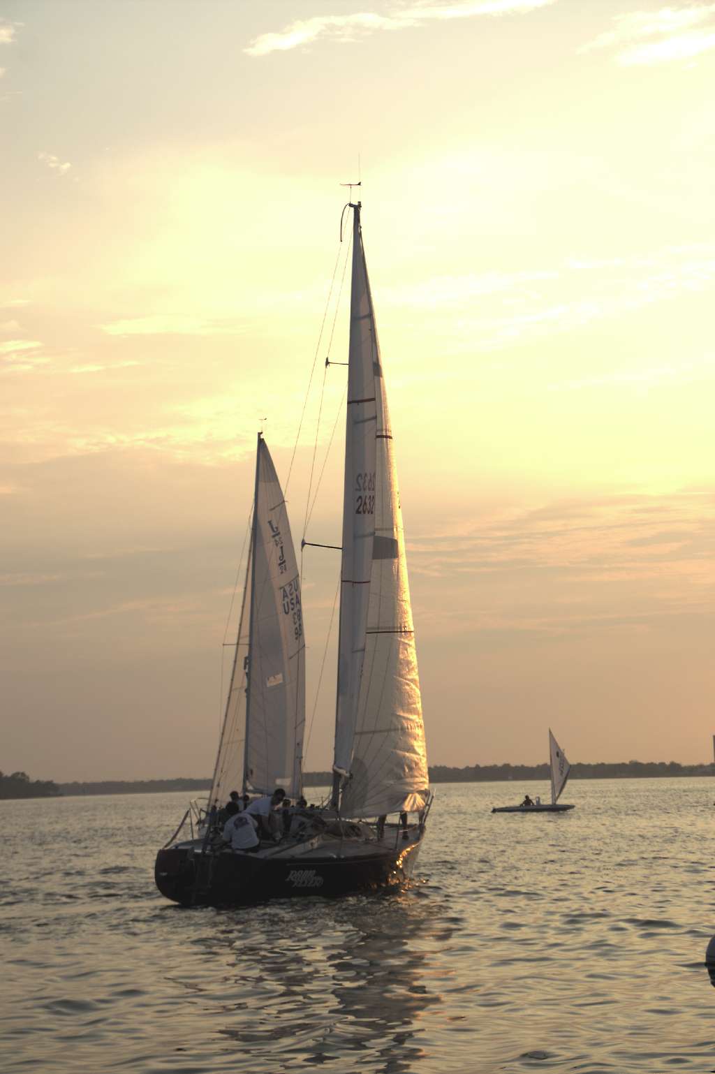 sailboats sail across the open water near the shoreline