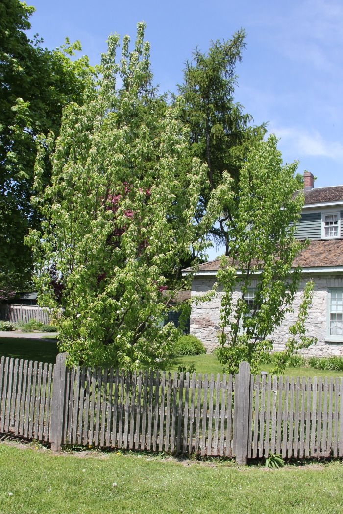 a wooden fence surrounding an old stone house