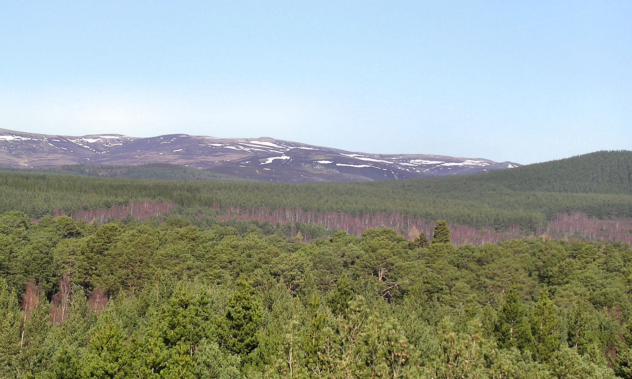 the mountain range has been cleared in a very unusual way