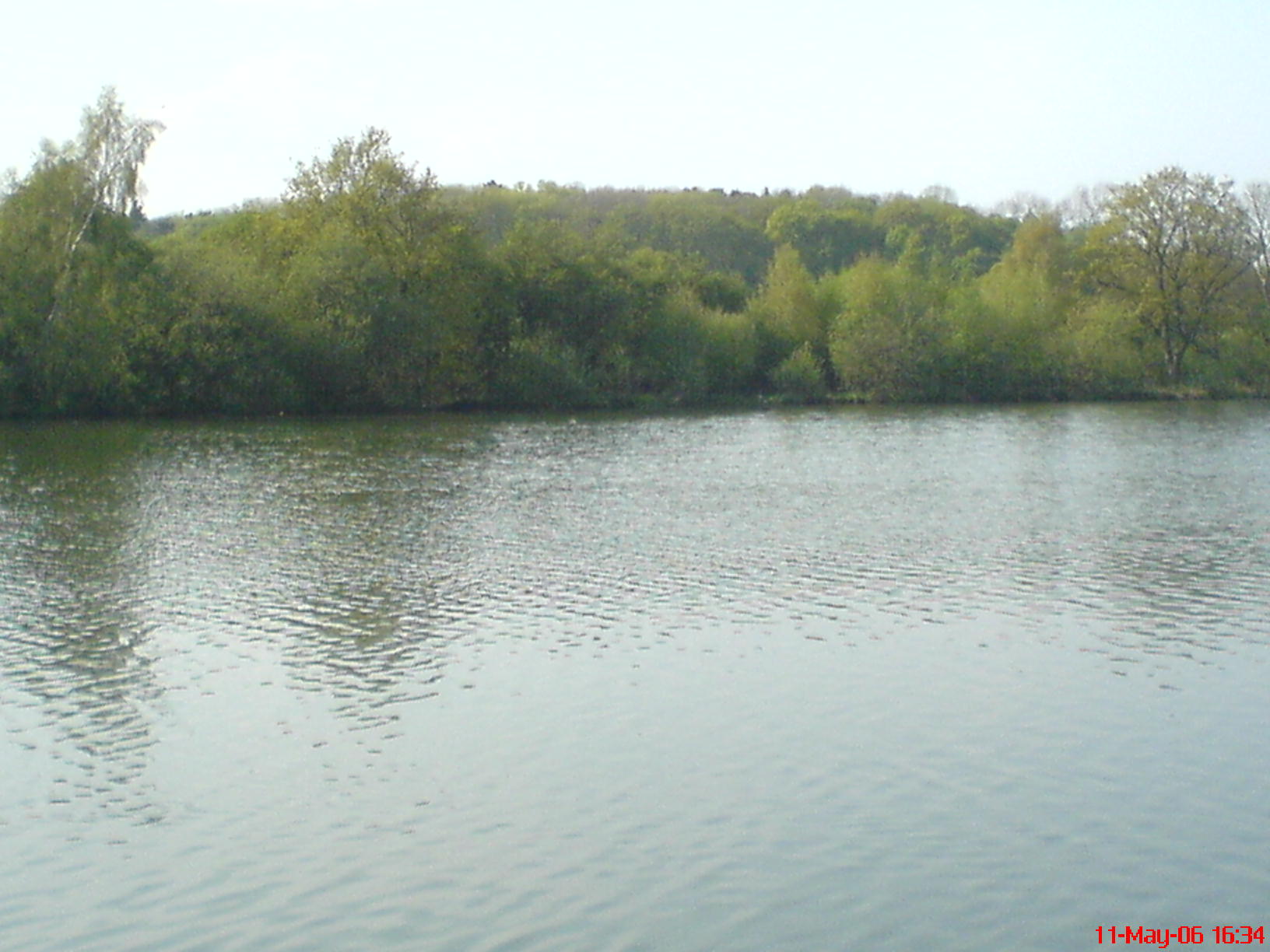 a lake with water is surrounded by some trees