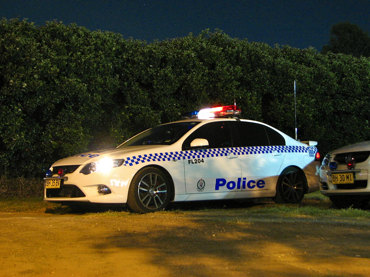 two police cars parked next to a hedge on a dark night