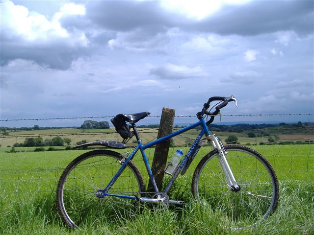 a bicycle is propped up on a post by the grass
