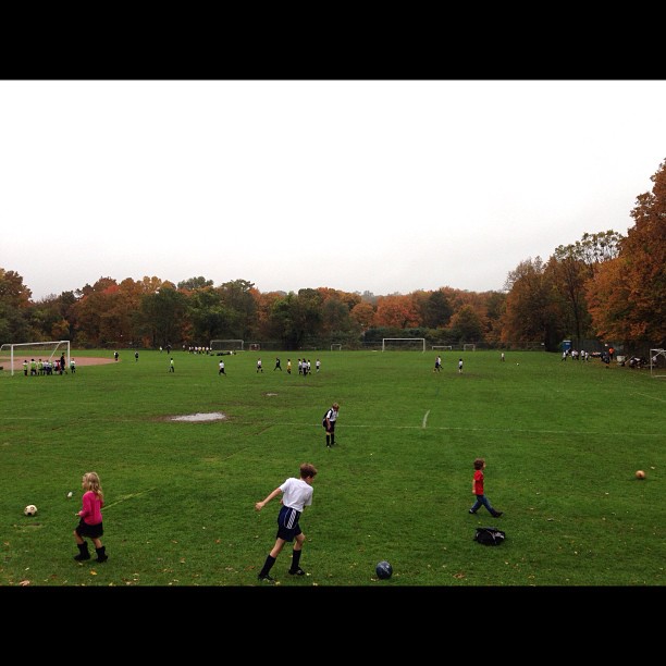 s play soccer in the green field at autumn