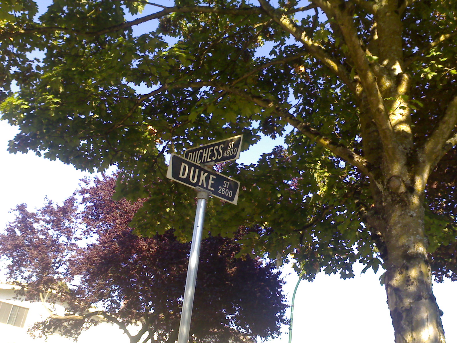 two street signs that are on top of a pole