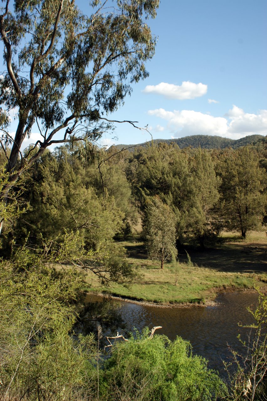 the river is surrounded by trees and grass