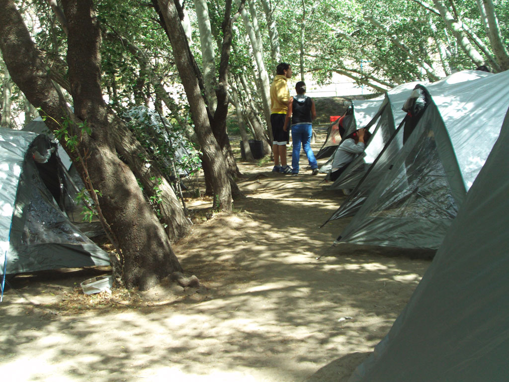 two tents set up next to trees and people standing inside