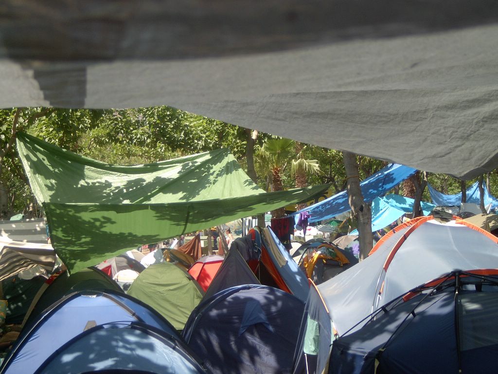 multiple tents are lined up under trees on the field