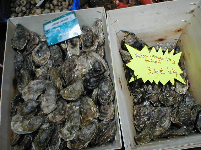two boxes filled with lots of different kinds of oysters