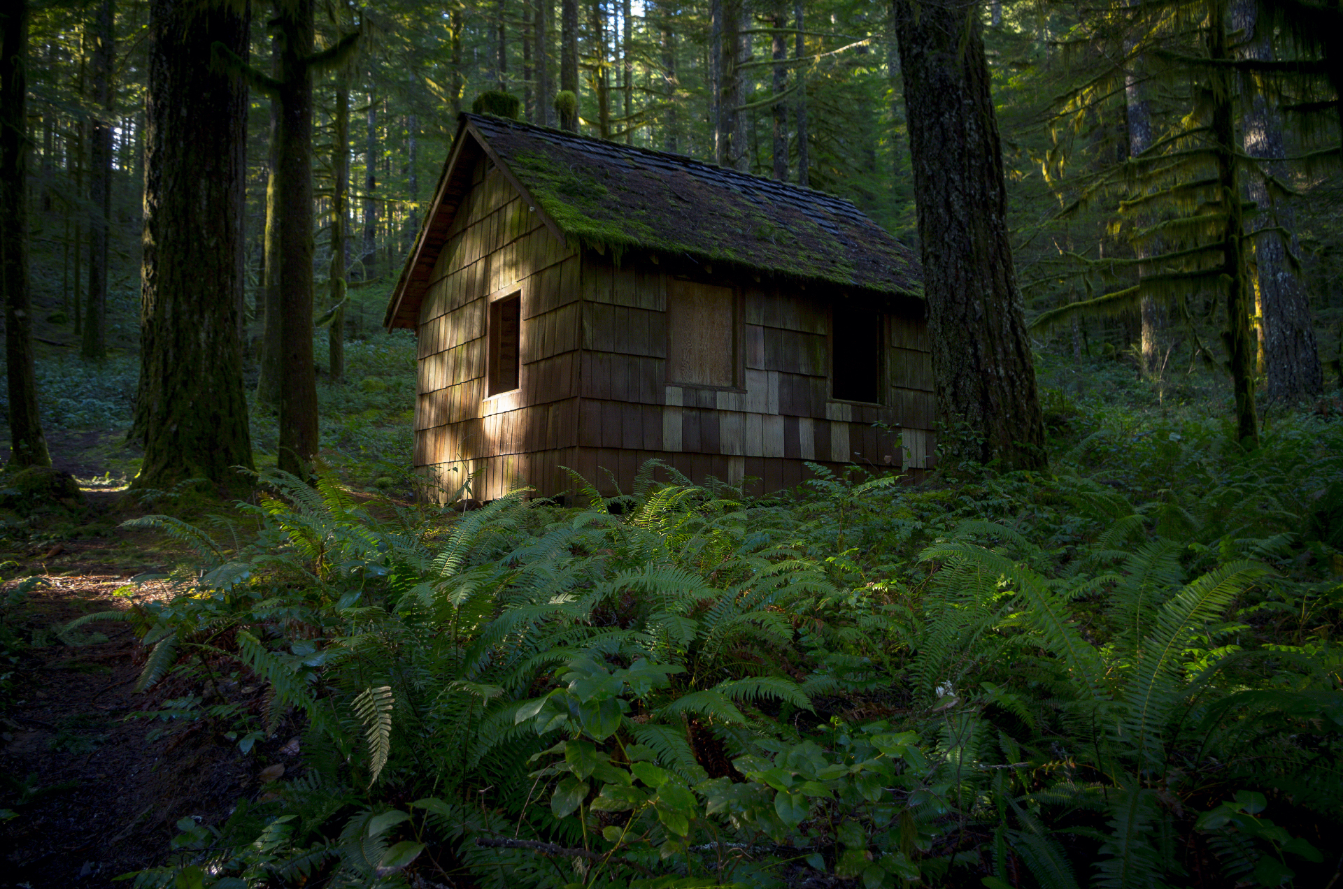 a small wooden shack in the middle of a forest