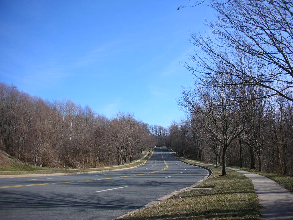 two winding roadways and the trees in the distance