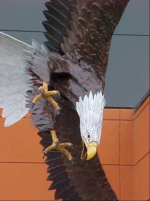 a large eagle flying through the sky with its wings out