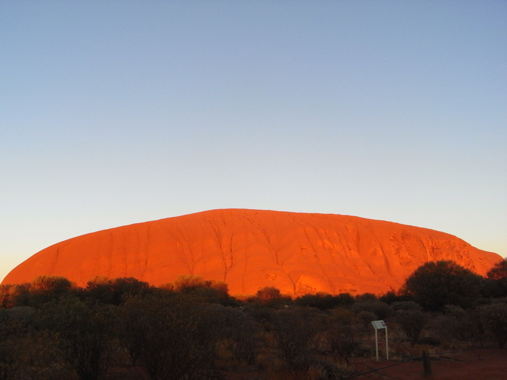 the top of an over grown red tree covered hill