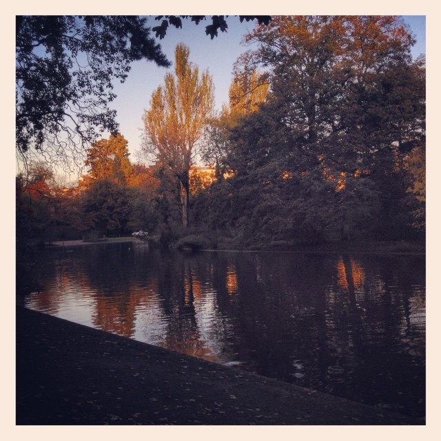 an image of a pond in autumn with a sunset on it