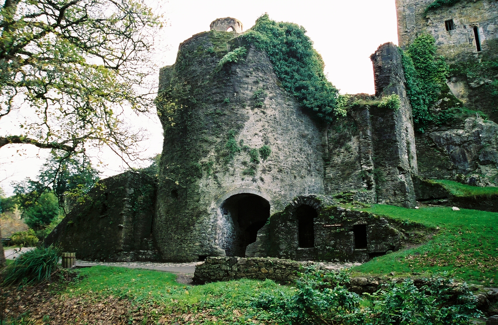 an old castle sits in the middle of the woods