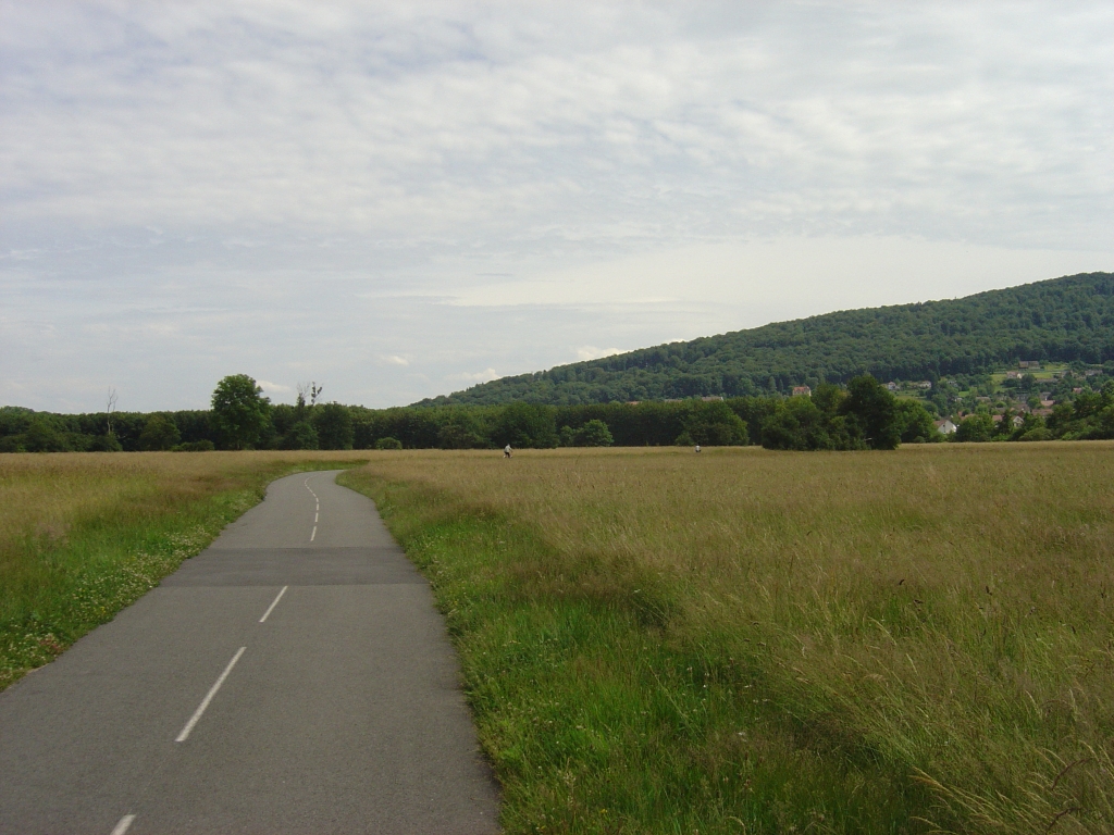 a road that goes down into a green field