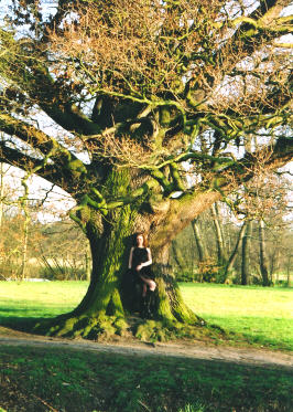 woman sitting on large tree in park on sunny day